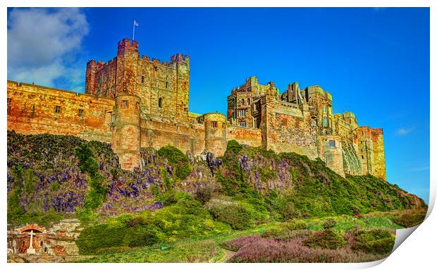 Northumbrian Majesty Print by David McCulloch