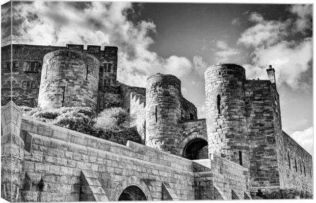 Castle Towers Canvas Print by David McCulloch