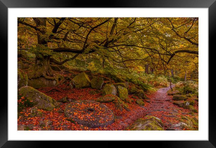 Padley Gorge Millstone Framed Mounted Print by Paul Andrews