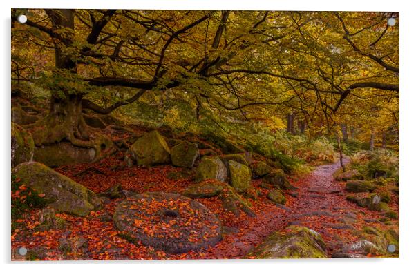 Padley Gorge Millstone Acrylic by Paul Andrews