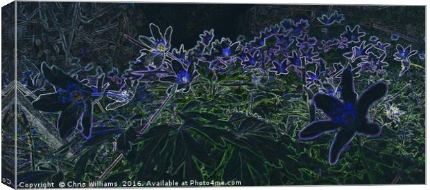 Magic Flora Canvas Print by Chris Williams
