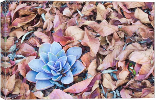 Fallen Autumn Leaves Canvas Print by Ram Vasudev