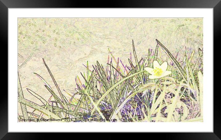 Flower By The Stream Framed Mounted Print by Chris Williams