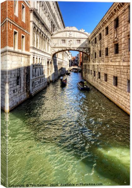 That Bridge in Venice Canvas Print by Tom Gomez