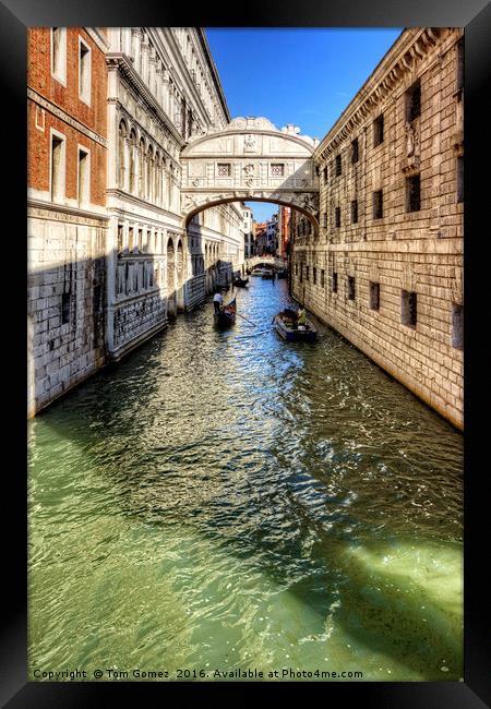 That Bridge in Venice Framed Print by Tom Gomez