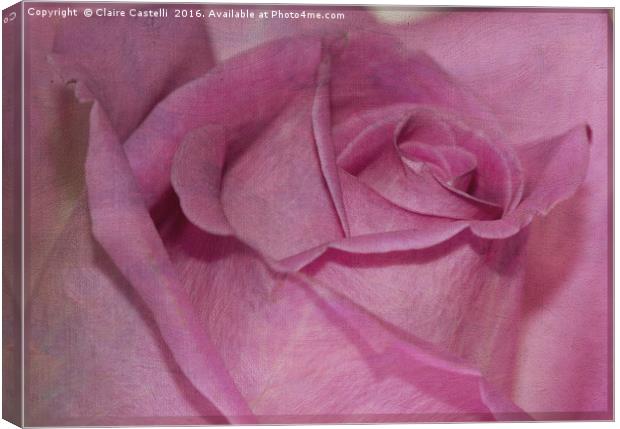 Pink Rose Canvas Print by Claire Castelli