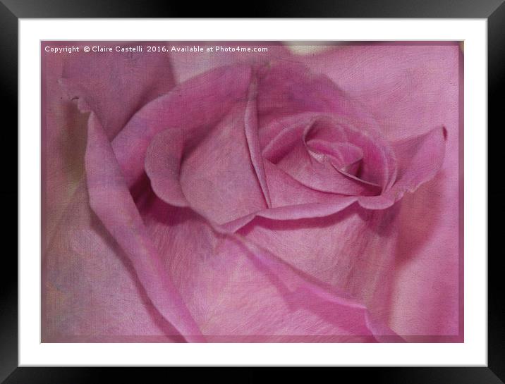 Pink Rose Framed Mounted Print by Claire Castelli