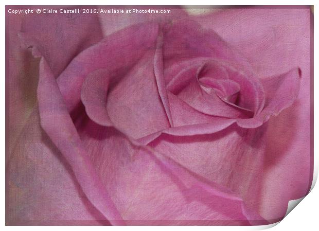 Pink Rose Print by Claire Castelli