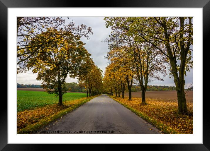 Rural road in European countrisidet. Framed Mounted Print by Sergey Fedoskin