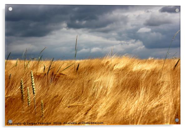 Yellow field under stormy sky Acrylic by Sergey Fedoskin
