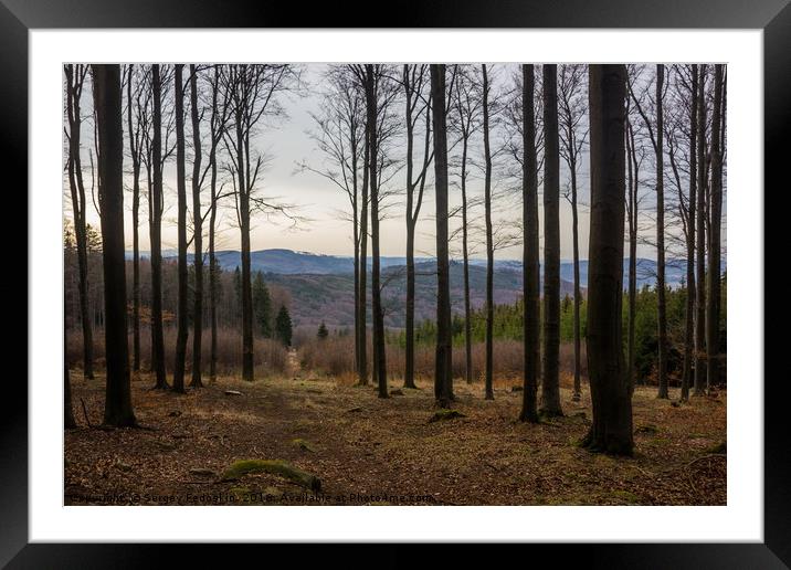 Spring forest in Sumava Framed Mounted Print by Sergey Fedoskin