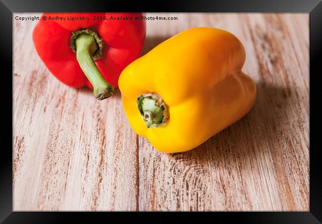 red and yellow pepper Framed Print by Andrey Lipinskiy