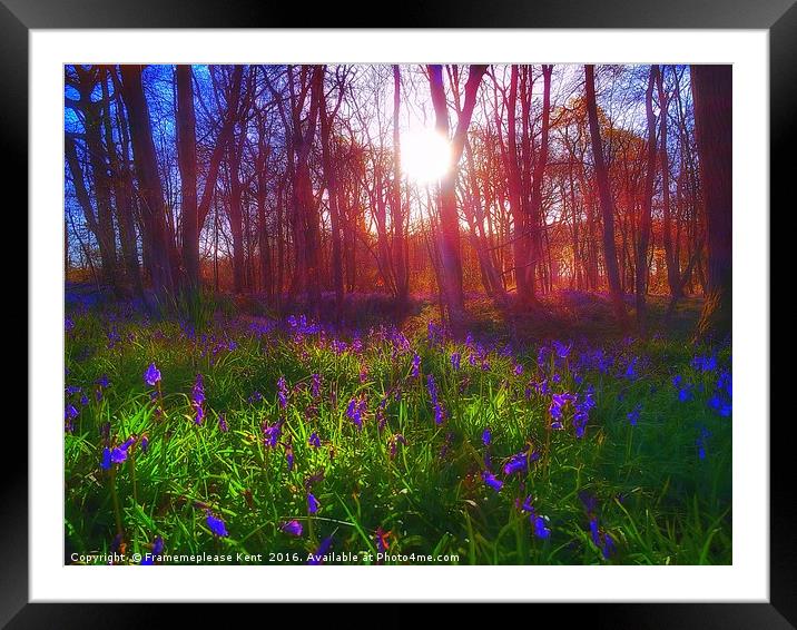 Morning sunlight in Tenterden Kent  Framed Mounted Print by Framemeplease UK