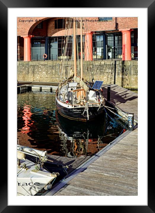 Quiet corner of the Albert Dock Marina Framed Mounted Print by Frank Irwin