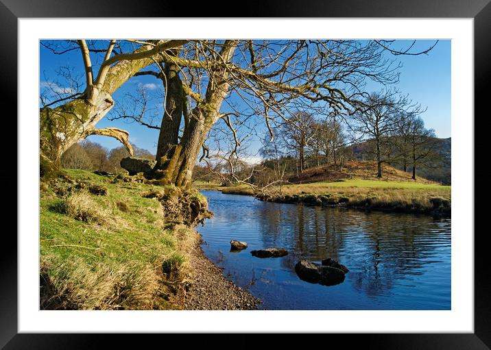 Banks of the River Brathay                       Framed Mounted Print by Darren Galpin