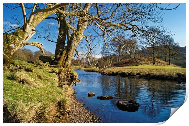 Banks of the River Brathay                       Print by Darren Galpin