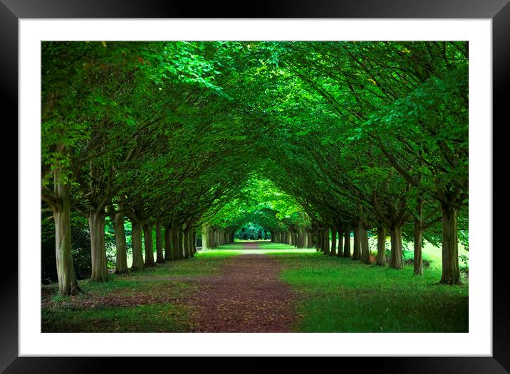 Under the Trees Framed Mounted Print by Svetlana Sewell