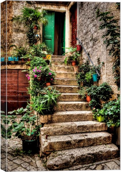 Courtyard Steps Canvas Print by Colin Metcalf