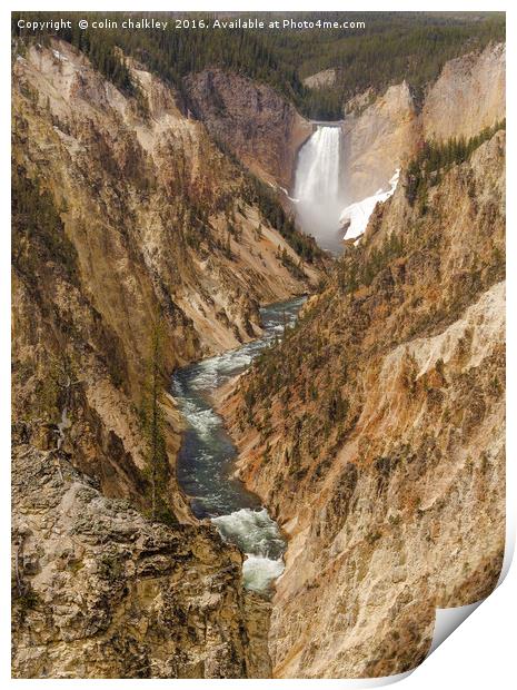 Yellowstone National Park - Lower Falls Print by colin chalkley