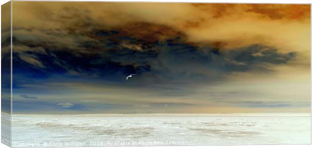 Flying Solo In A Stormy Sky Canvas Print by Chris Williams