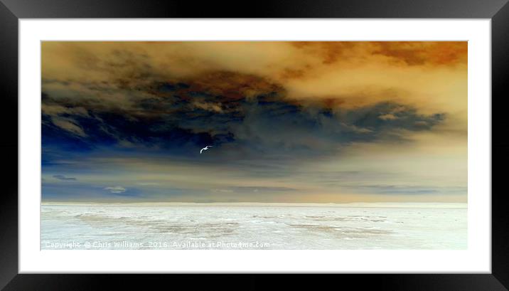 Flying Solo In A Stormy Sky Framed Mounted Print by Chris Williams