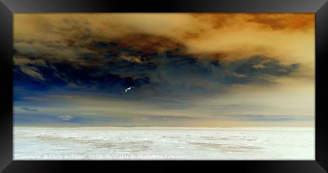 Flying Solo In A Stormy Sky Framed Print by Chris Williams