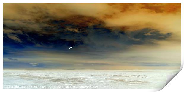 Flying Solo In A Stormy Sky Print by Chris Williams
