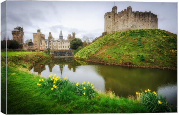 Cardiff Castle Canvas Print by Richard Downs