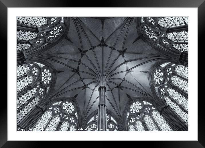 Chapter House B&W Framed Mounted Print by Stephen Taylor