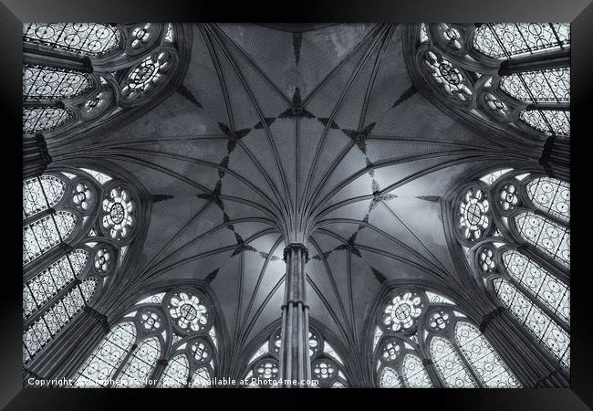 Chapter House B&W Framed Print by Stephen Taylor