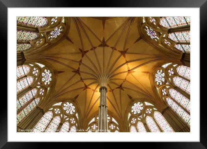 Salsibury Cathedral Chapter House roof Framed Mounted Print by Stephen Taylor