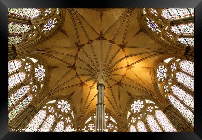 Salsibury Cathedral Chapter House roof Framed Print by Stephen Taylor