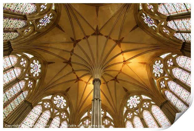 Salsibury Cathedral Chapter House roof Print by Stephen Taylor