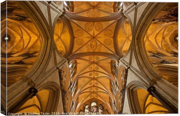 The roof of Salisbury Cathedral Canvas Print by Stephen Taylor