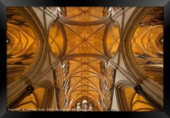 The roof of Salisbury Cathedral Framed Print by Stephen Taylor