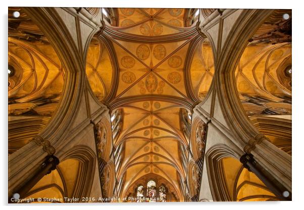 The roof of Salisbury Cathedral Acrylic by Stephen Taylor