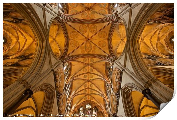 The roof of Salisbury Cathedral Print by Stephen Taylor