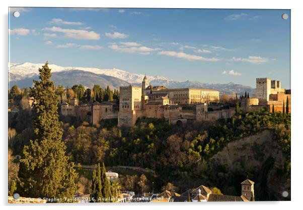 The Alhambra palace Granada Acrylic by Stephen Taylor