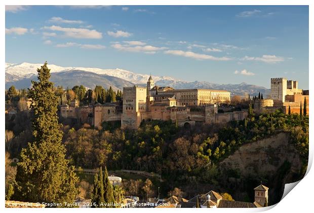 The Alhambra palace Granada Print by Stephen Taylor