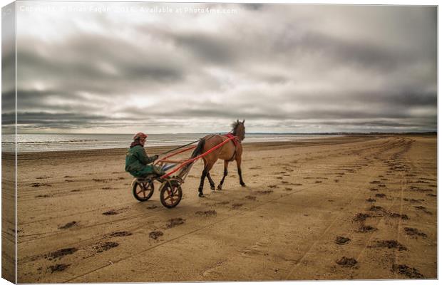 Horse and Cart Canvas Print by Brian Fagan