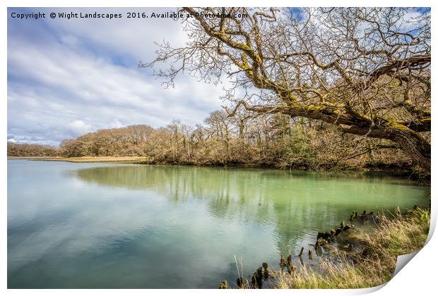 Newtown River Isle Of Wight Print by Wight Landscapes