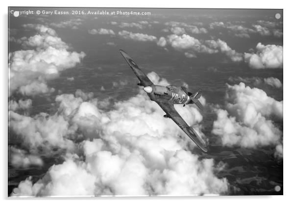 Hawker Hurricane IIB of 174 Squadron B&W version Acrylic by Gary Eason