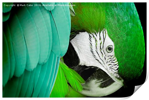 Green macaw Print by Mark Cake