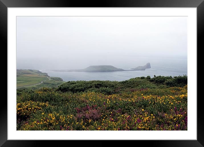 Worm's Head with Heather & Gorse - Gower Framed Mounted Print by Steve Strong