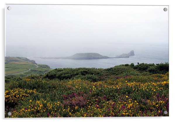 Worm's Head with Heather & Gorse - Gower Acrylic by Steve Strong