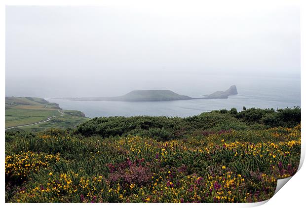 Worm's Head with Heather & Gorse - Gower Print by Steve Strong
