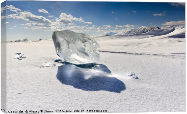 Frozen Time Canvas Print by Alexey Trofimov