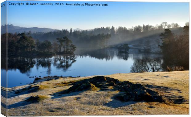 Tarn Hows, Lake District. Canvas Print by Jason Connolly