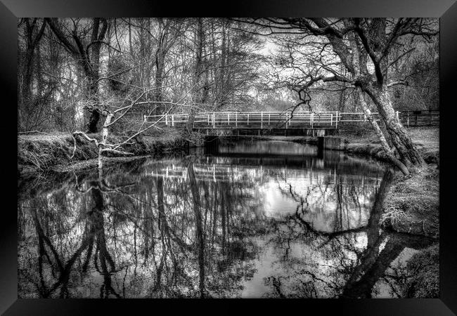 Forest Reflections Framed Print by Malcolm McHugh