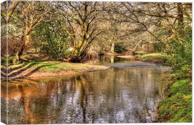 New Forest Waters Canvas Print by Malcolm McHugh